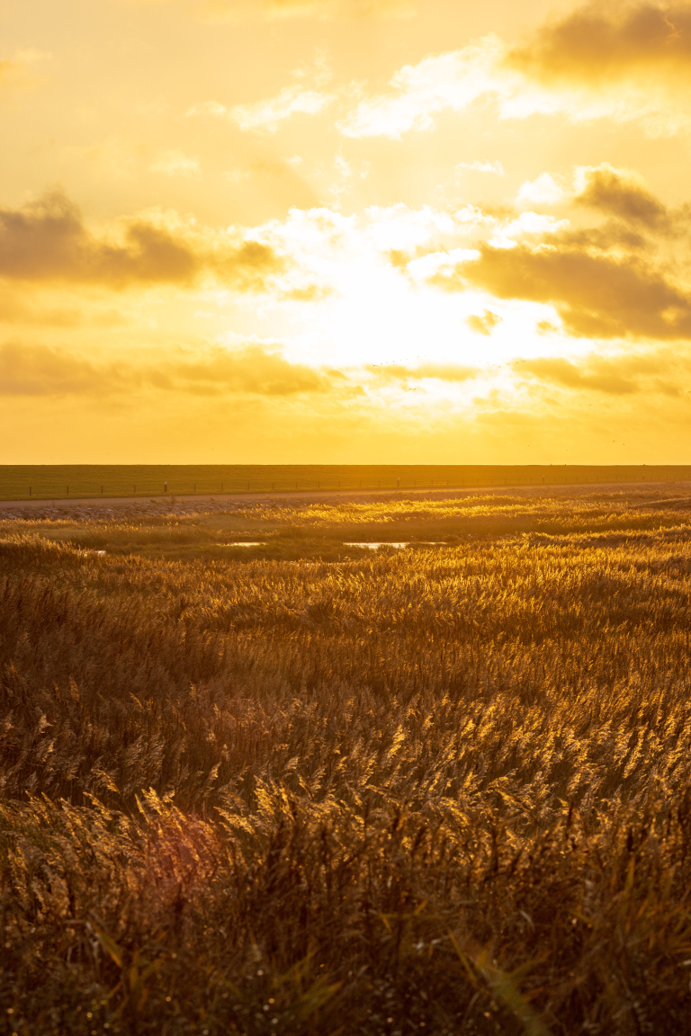 Nazomer op Ameland, tijd voor twee - VVV Ameland