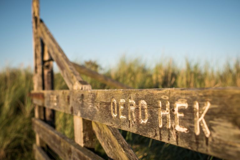 amelandfoto_oerd_1_10.jpg