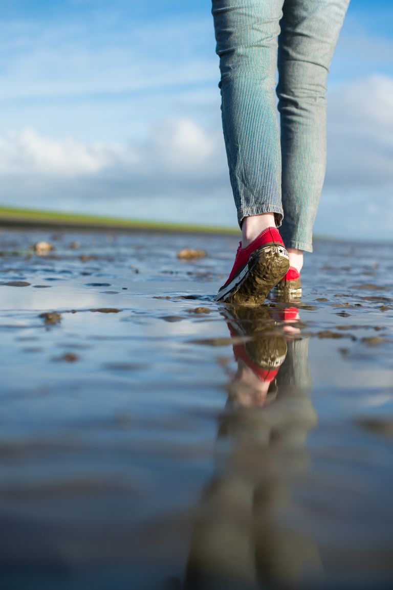 Groepsuitje - VVV Ameland