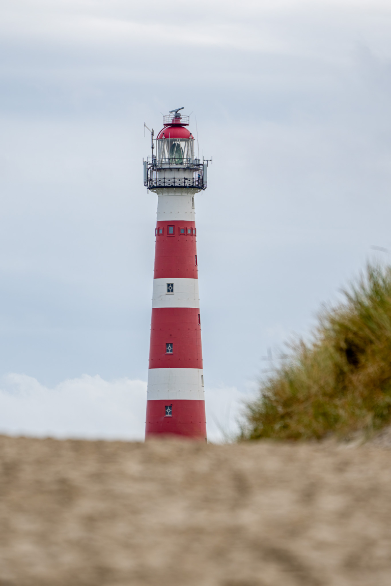 chris_kooistra_cek_20231101_lr_1_2_6.jpg