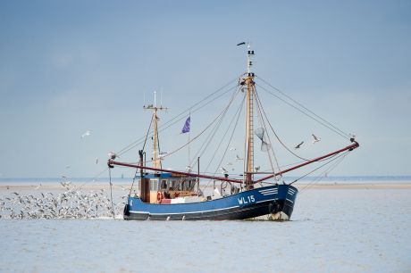 De O'slach Hollum - VVV Ameland