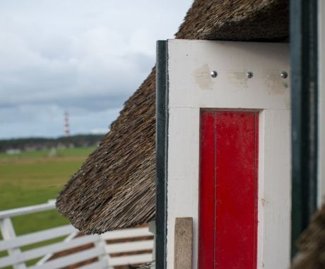 Koren- en mosterdmolen 'De Verwachting' - VVV Ameland