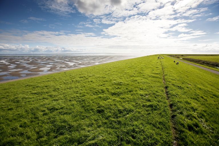 Buurder Steiger - VVV Ameland
