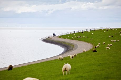 Fietsarrangement - VVV Ameland