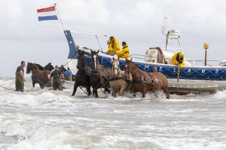 Over Hollum - VVV Ameland