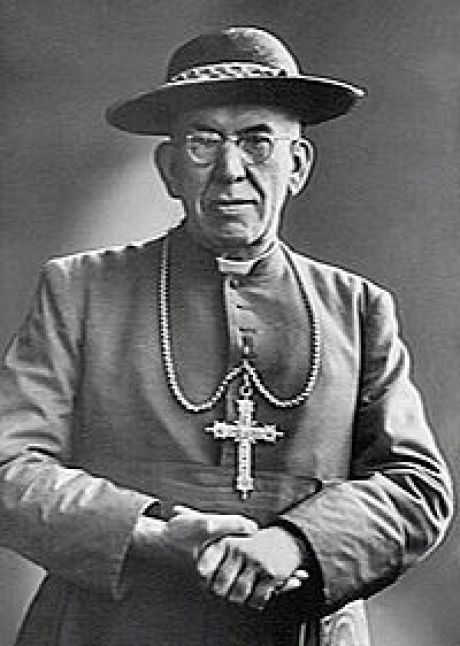 Johannes Kardinaal de Jong - VVV Ameland