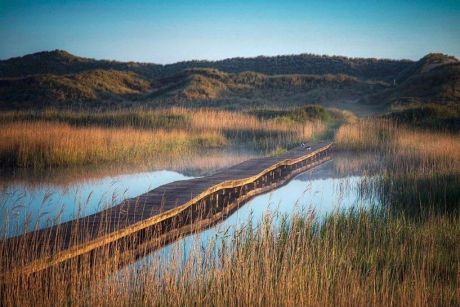 Wandelarrangement - VVV Ameland