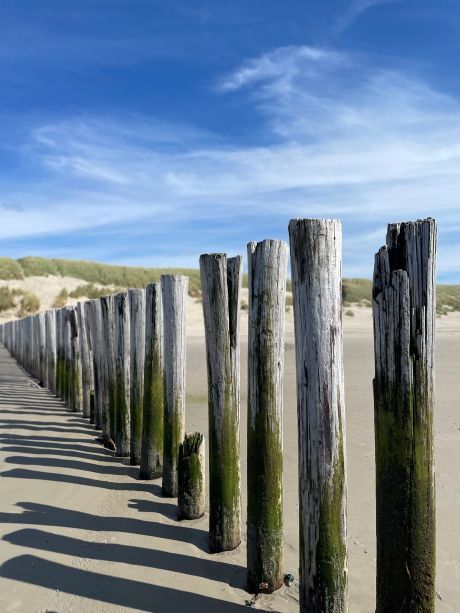 Fietsarrangement - VVV Ameland