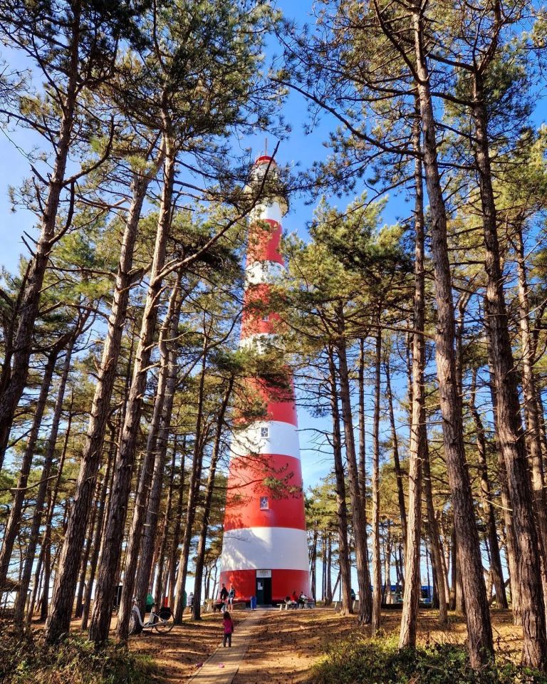 Hoog tijd voor de vuurtoren - VVV Ameland