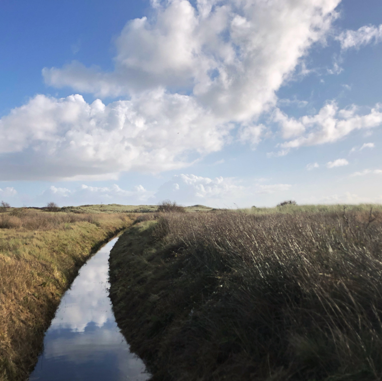 koaikers_duinen_gab_3.jpeg