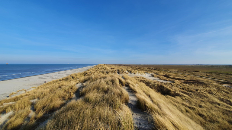 maurits_metz_paal17_2_febr25_2.jpg