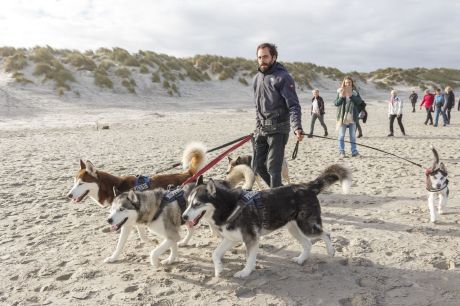 Tussen Slik en Zand - VVV Ameland