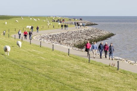 Tussen Slik en Zand - VVV Ameland