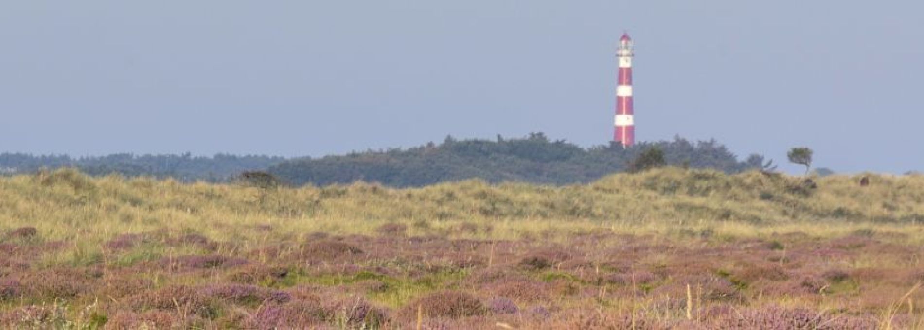 Veelgestelde vragen over openbare diensten op Ameland - VVV Ameland