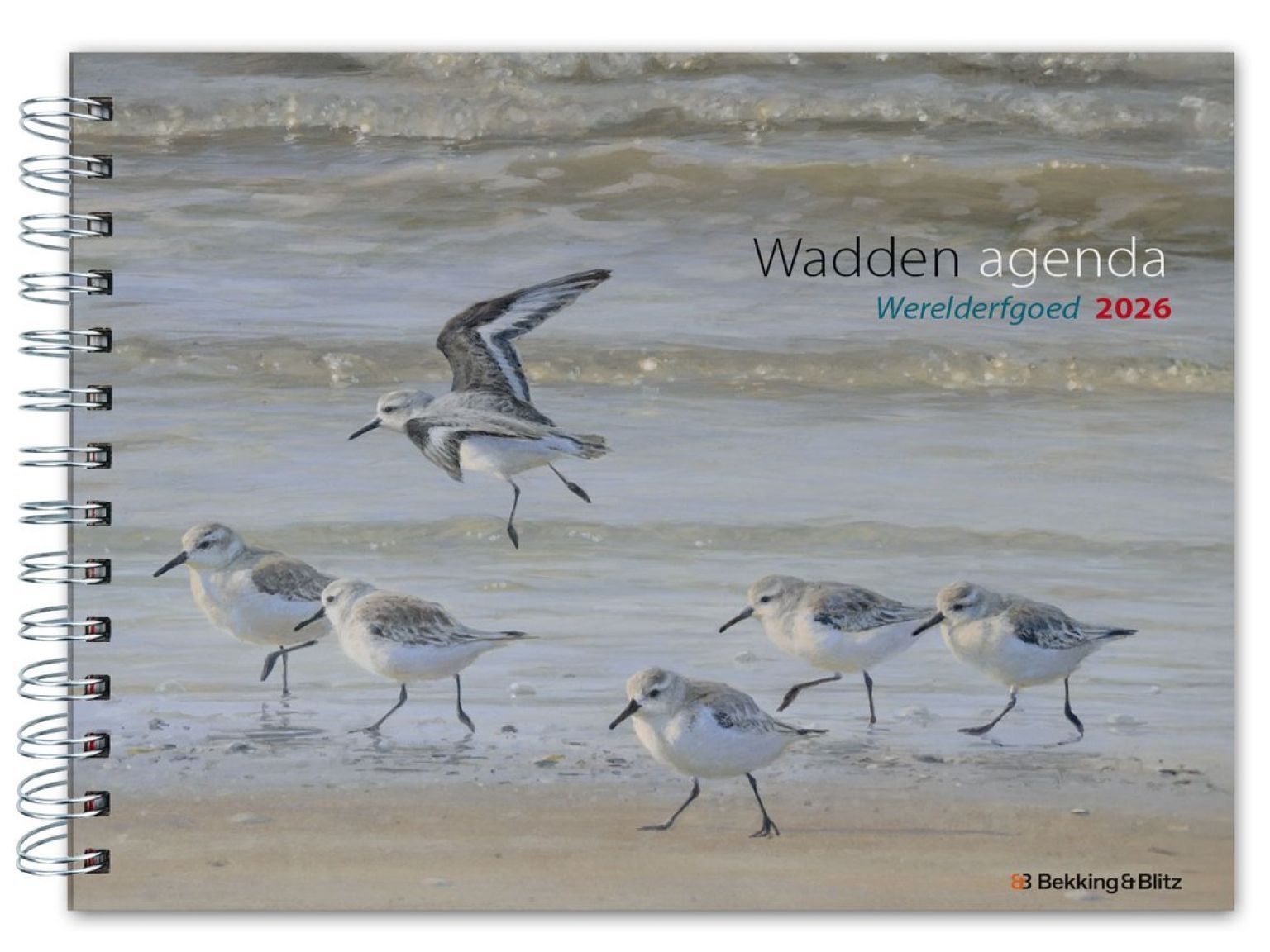 Wadden Werelderfgoed Weekagenda 2026 - Webshop VVV Ameland