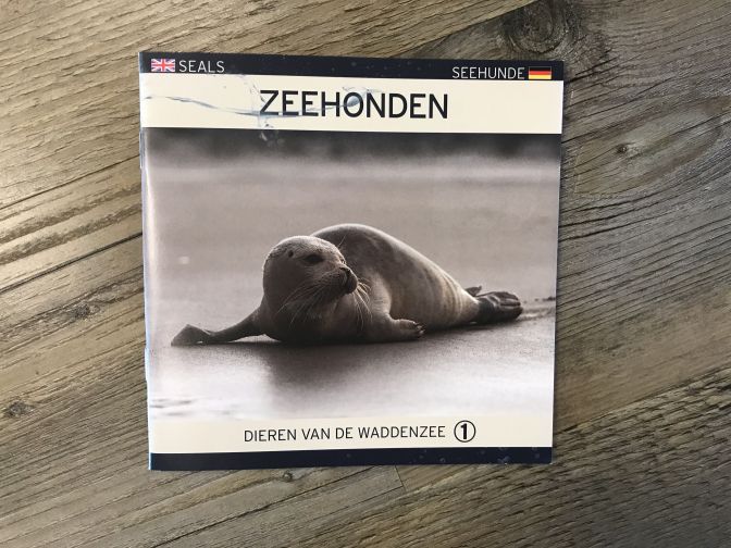 Zeehonden, dieren van de Waddenzee - Websop VVV Ameland