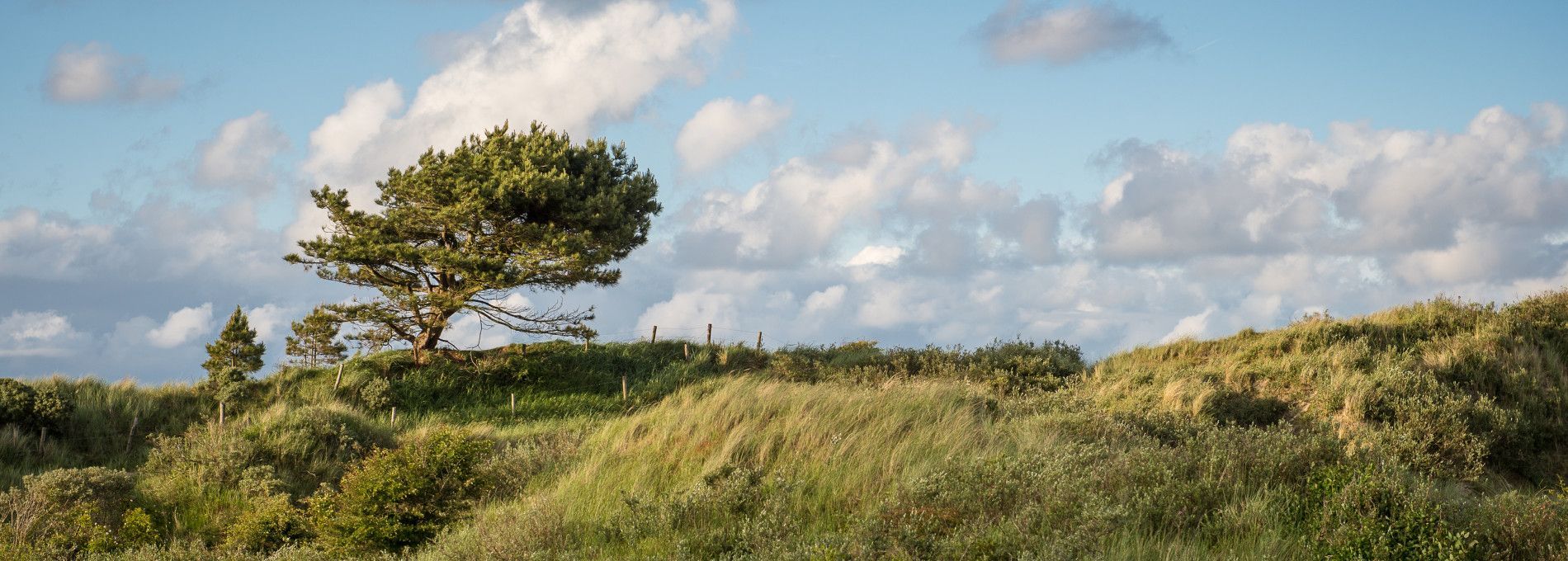 Vakantiepark op Ameland - VVV Ameland