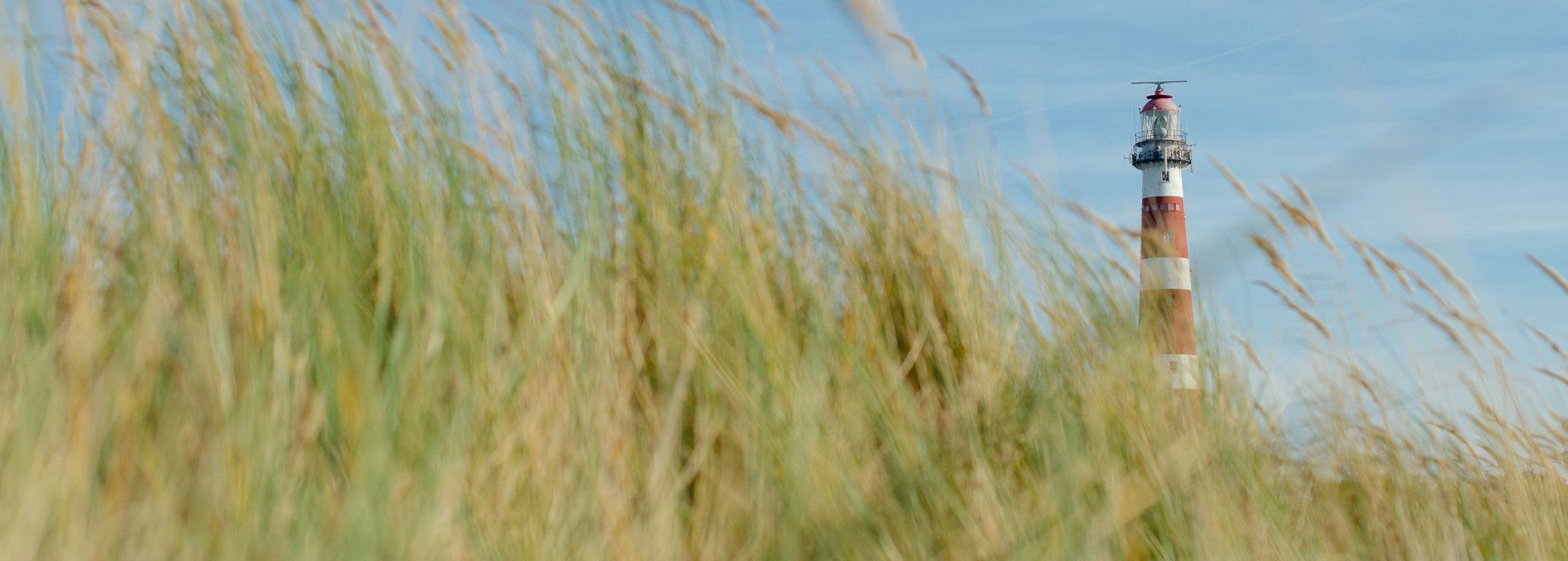 Dagarrangement Ameland - VVV Ameland