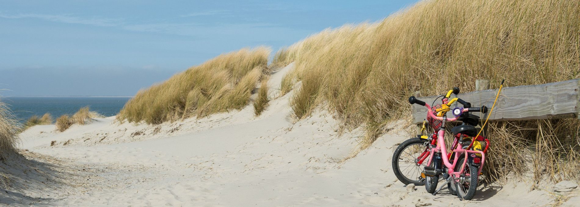 Fietsen op Ameland - VVV Ameland