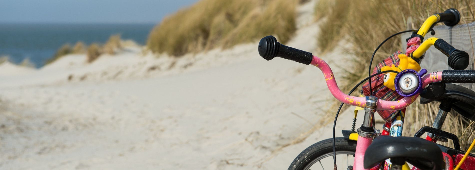 Fietsroutes en fietskaarten - VVV Ameland
