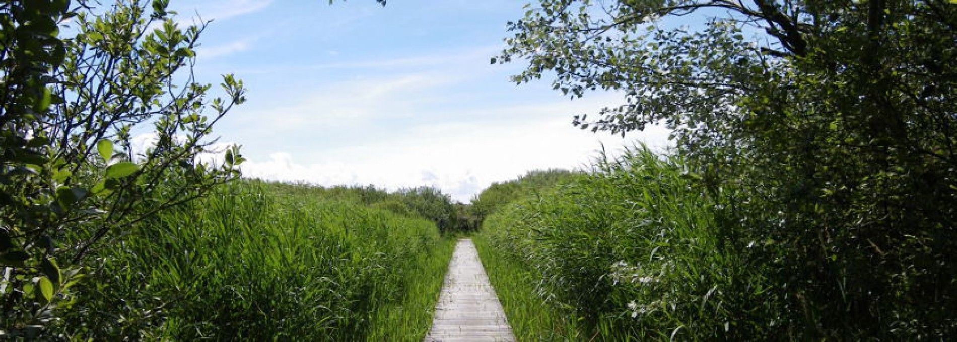 Wandelroutes en kaarten op Ameland - VVV Ameland