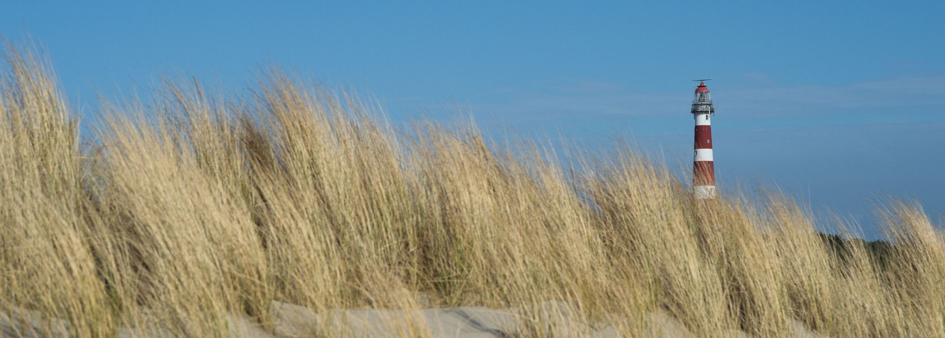 Wandelarrangementen op Ameland - VVV Ameland