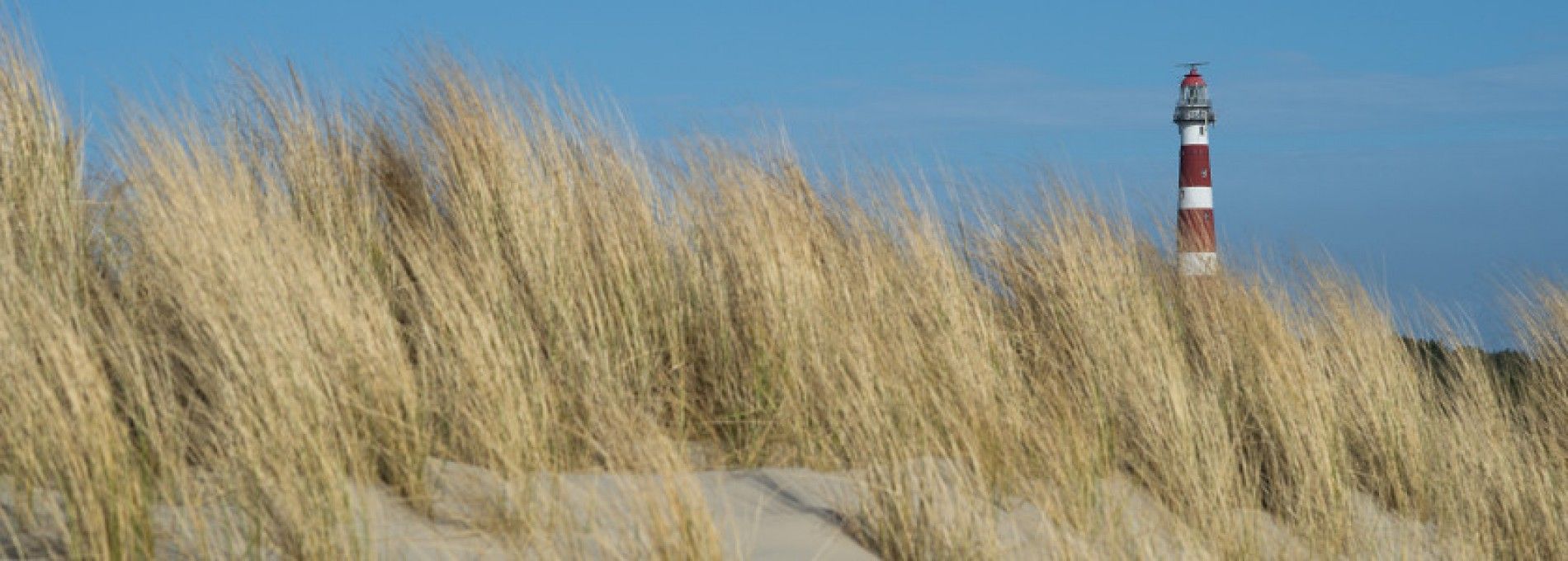 Wandelarrangementen op Ameland - VVV Ameland