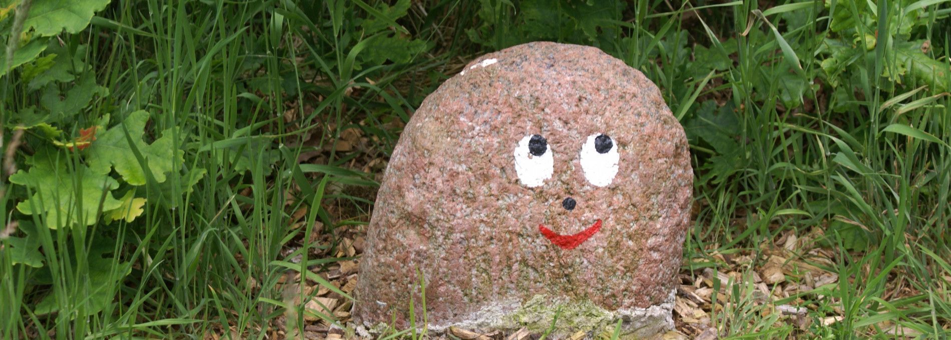 Krûmeltjesspoor - Wandelen op Ameland - VVV Ameland