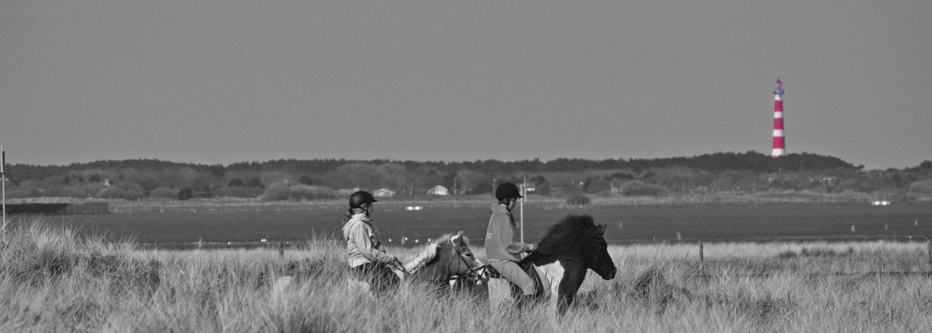 Rijstal Le Cheval - VVV Ameland