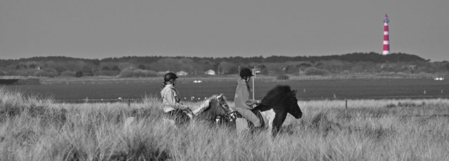 Rijstal Le Cheval op Ameland