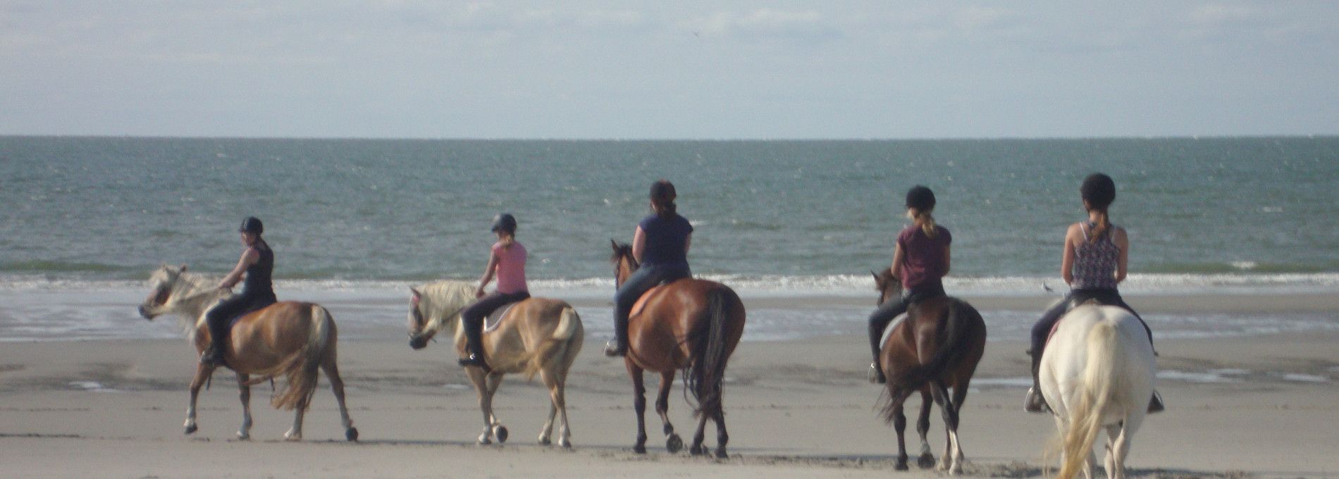 De Hollumer Trap - VVV Ameland