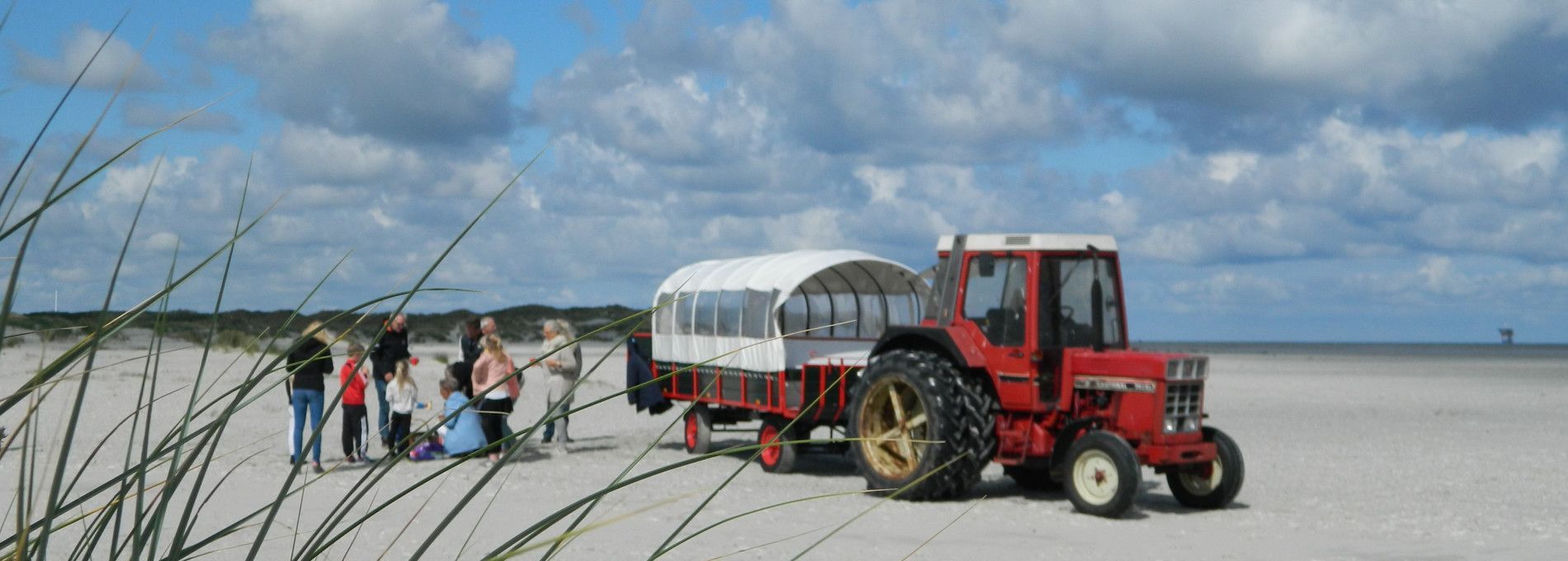 Huifkartochten Brouwer - VVV Ameland