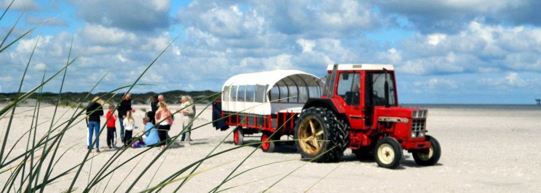 Huifkartochten Brouwer - VVV Ameland