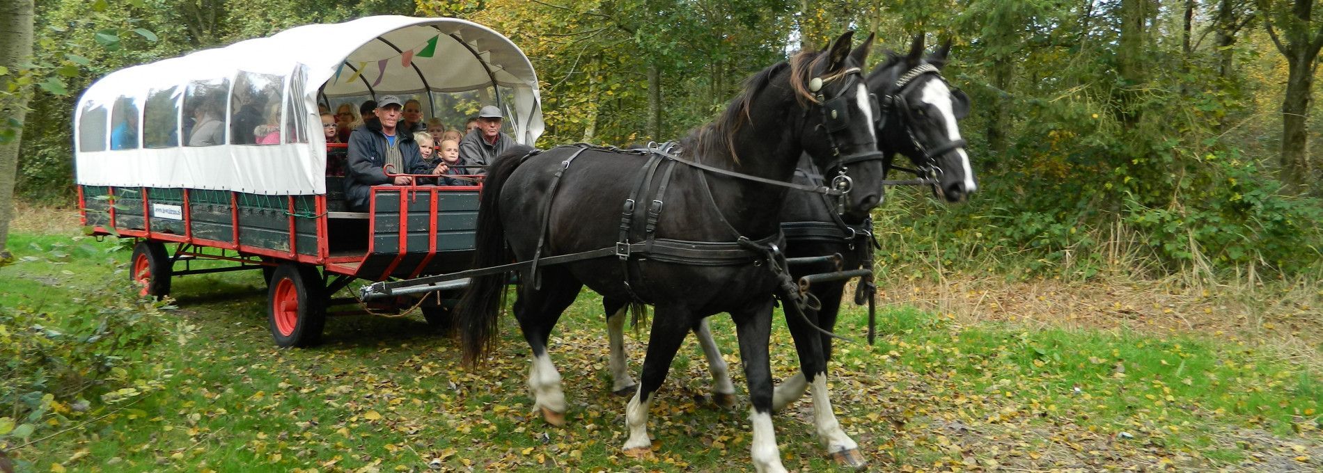 Rondritten met huifkar, paard en wagen - VVV Ameland
