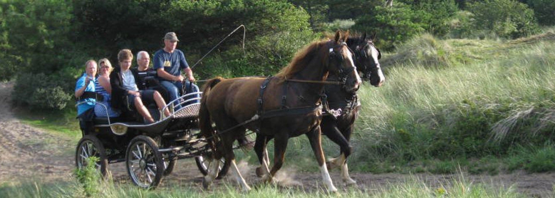 Recreatieritten Fam. de Boer Ameland