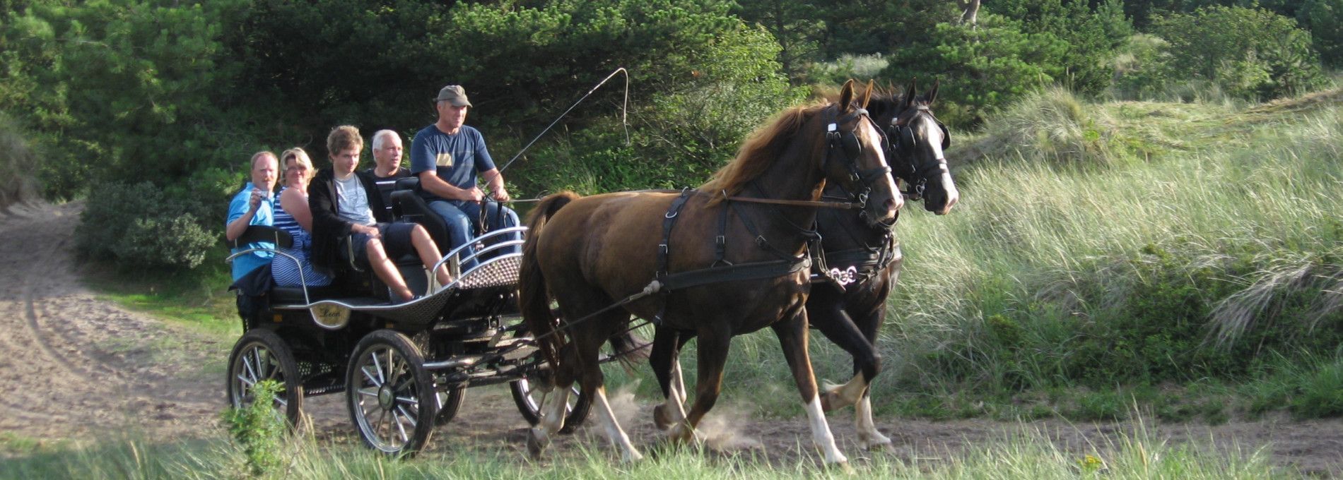 Recreatieritten Familie de Boer - VVV Ameland