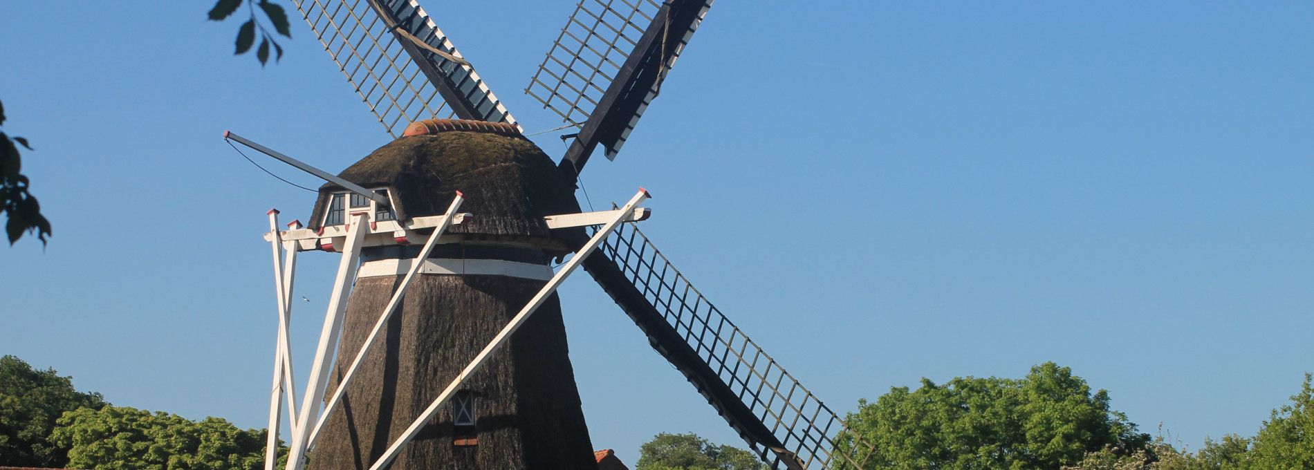 Korenmolen De Phenix - VVV Ameland