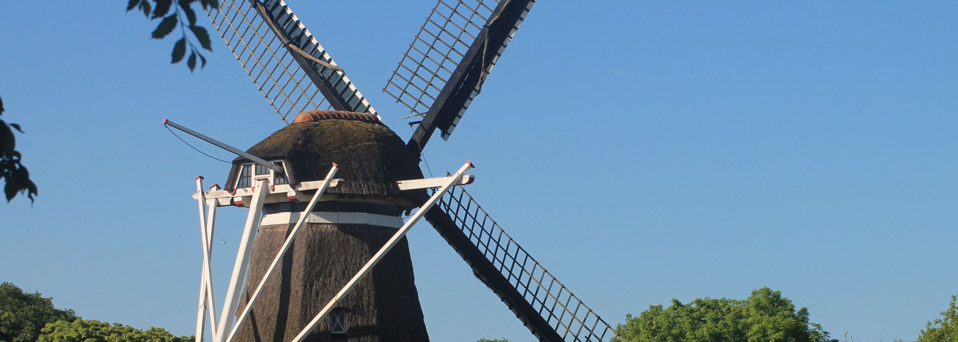 Korenmolen De Phenix - VVV Ameland