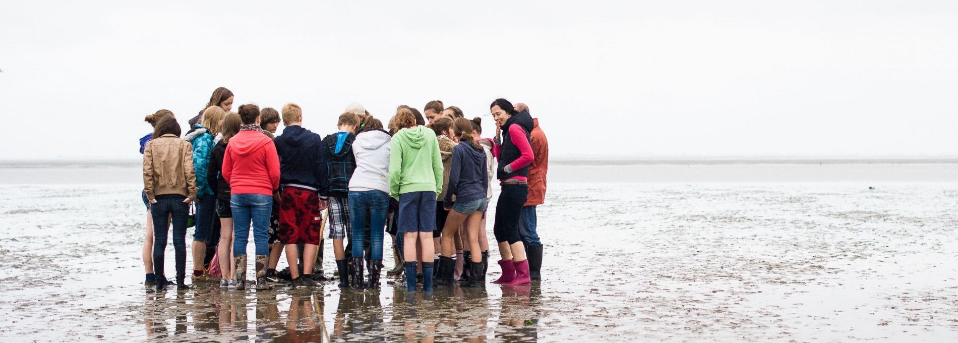 Wadexcursie - VVV Ameland