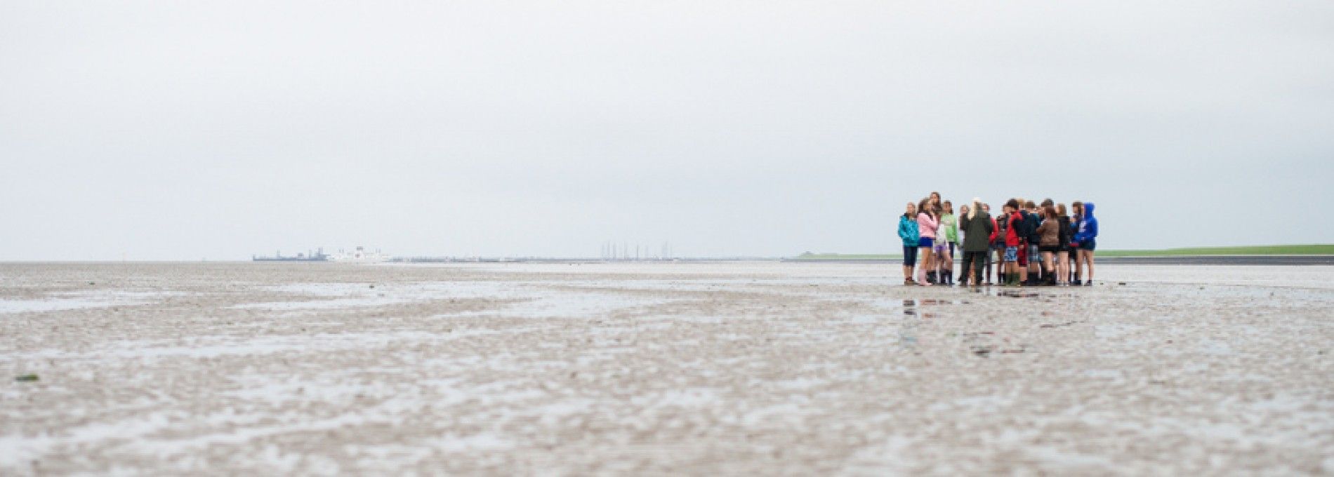 Wadexcursie Ameland