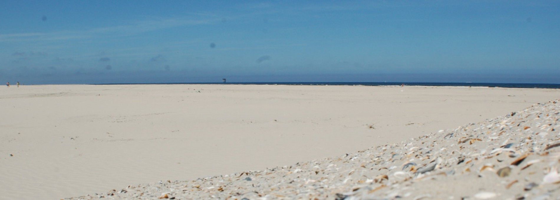 Strand- en schelpenexcursie Ameland