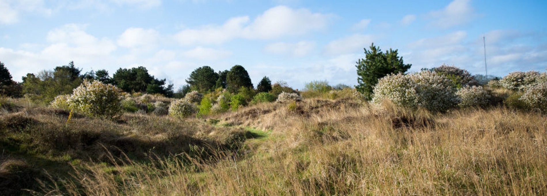 Bos- en Duintocht Ameland