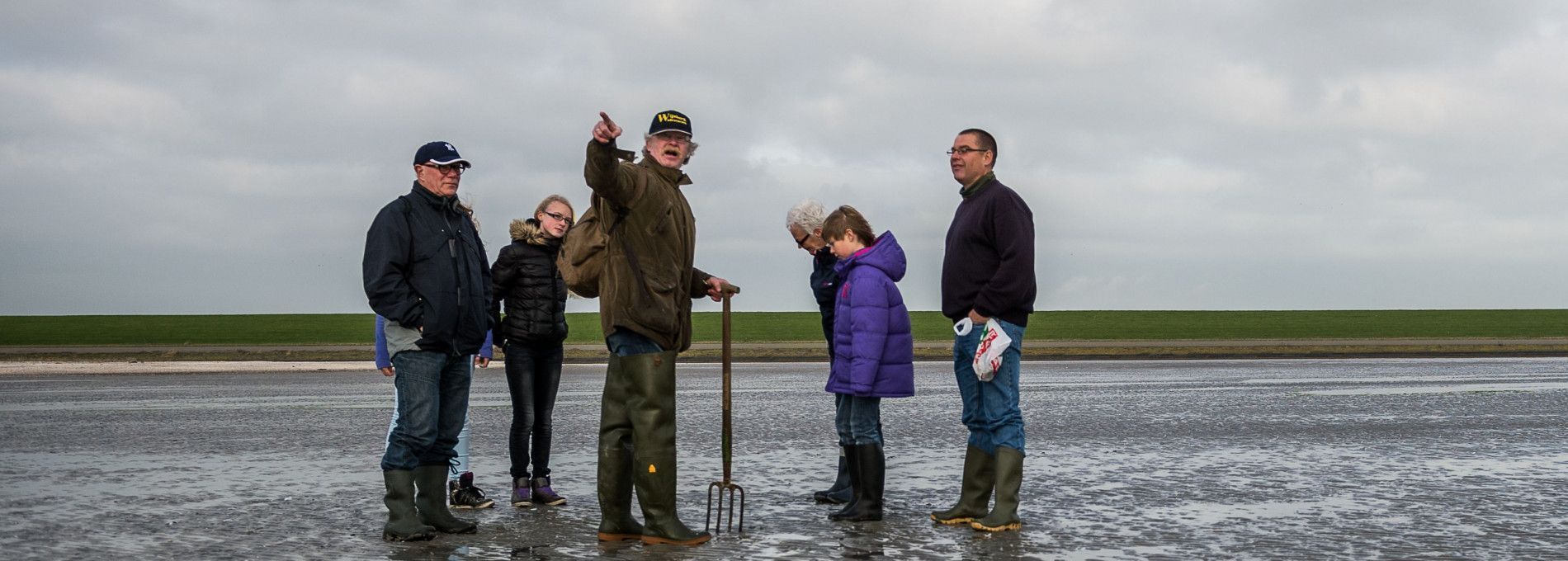 Wijnberg Wadexcursies - VVV Ameland