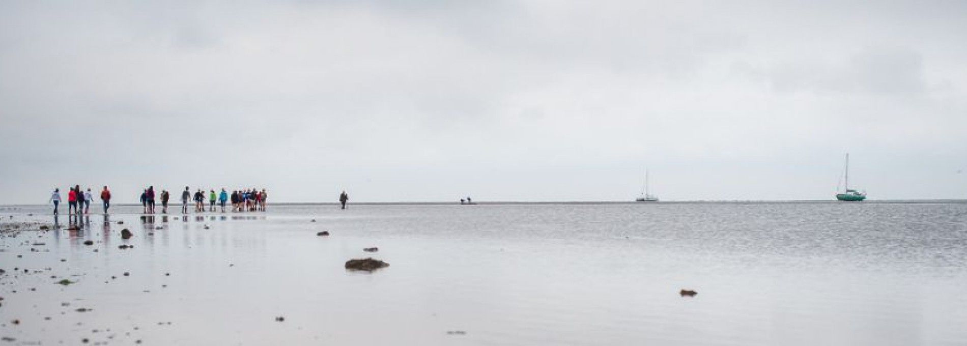 Wad zwerftocht - excursies Ameland