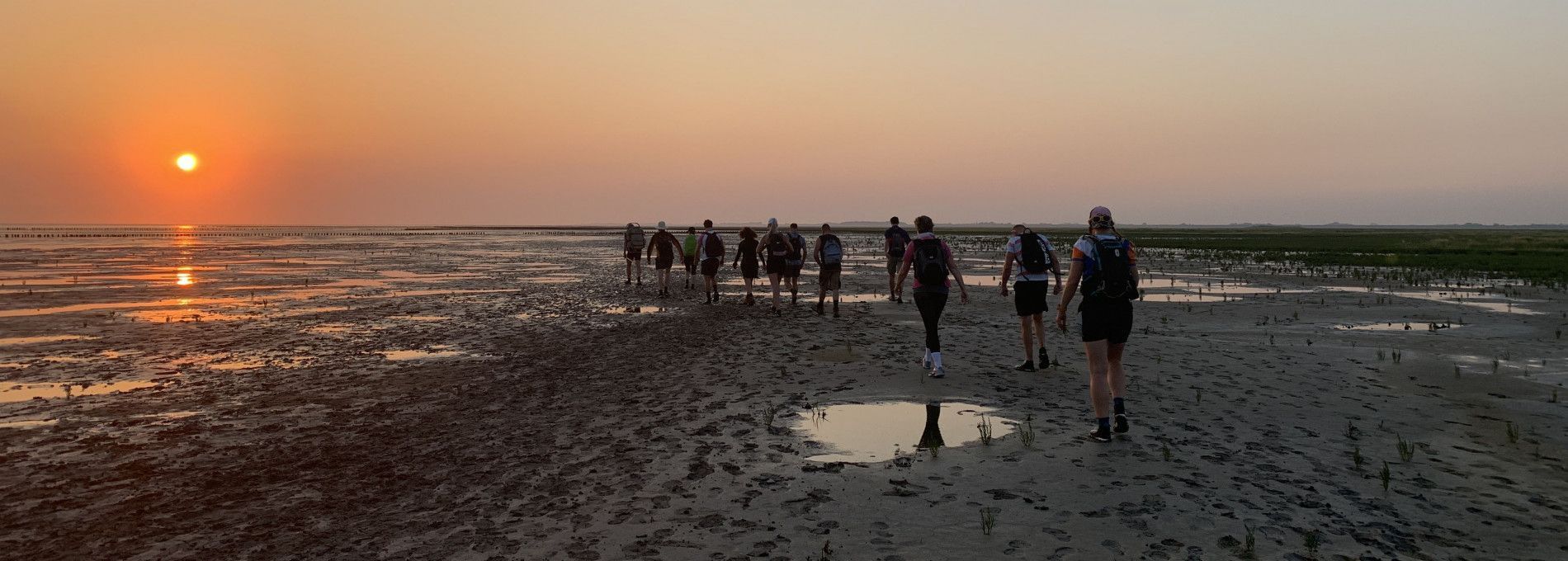 Wadzwerftocht - VVV Ameland