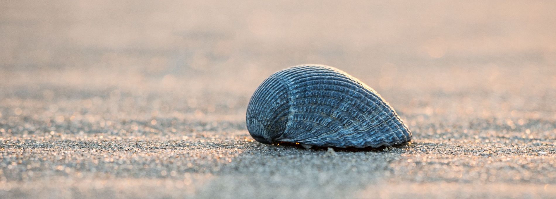 Massage- en acupunctuurpraktijk Verbiest - VVV Ameland