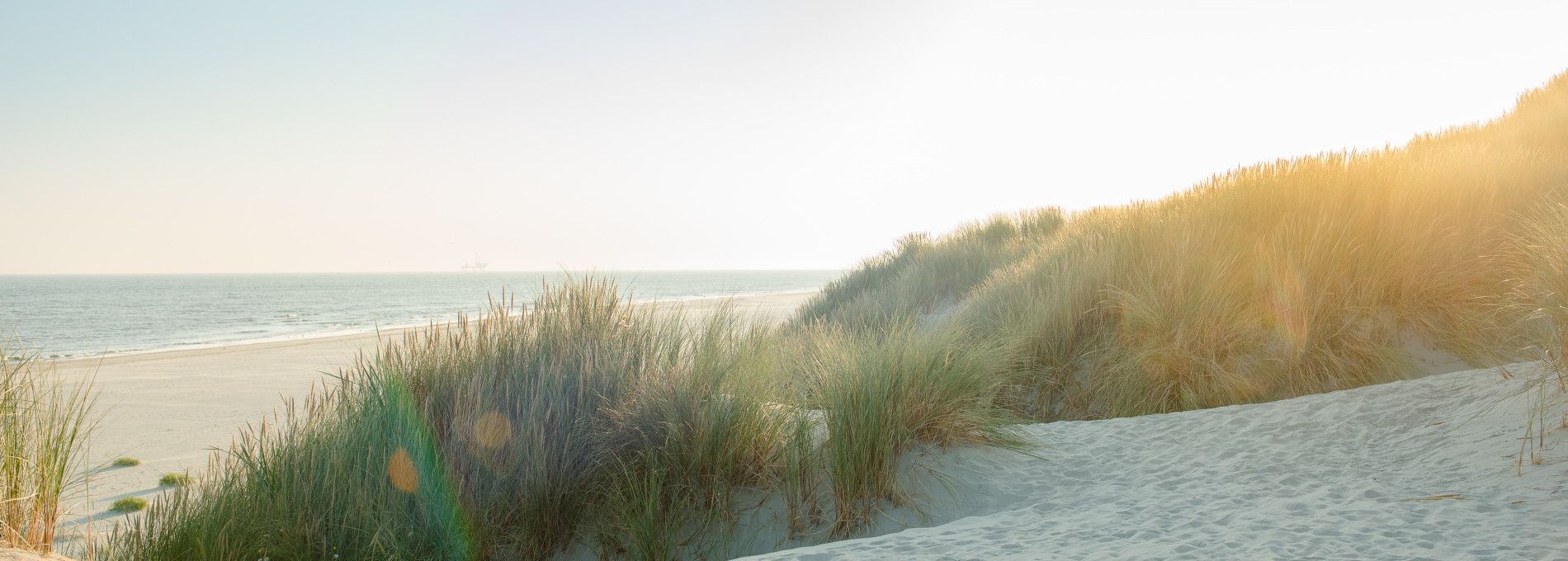 Vakantiepakket - webshop VVV Ameland