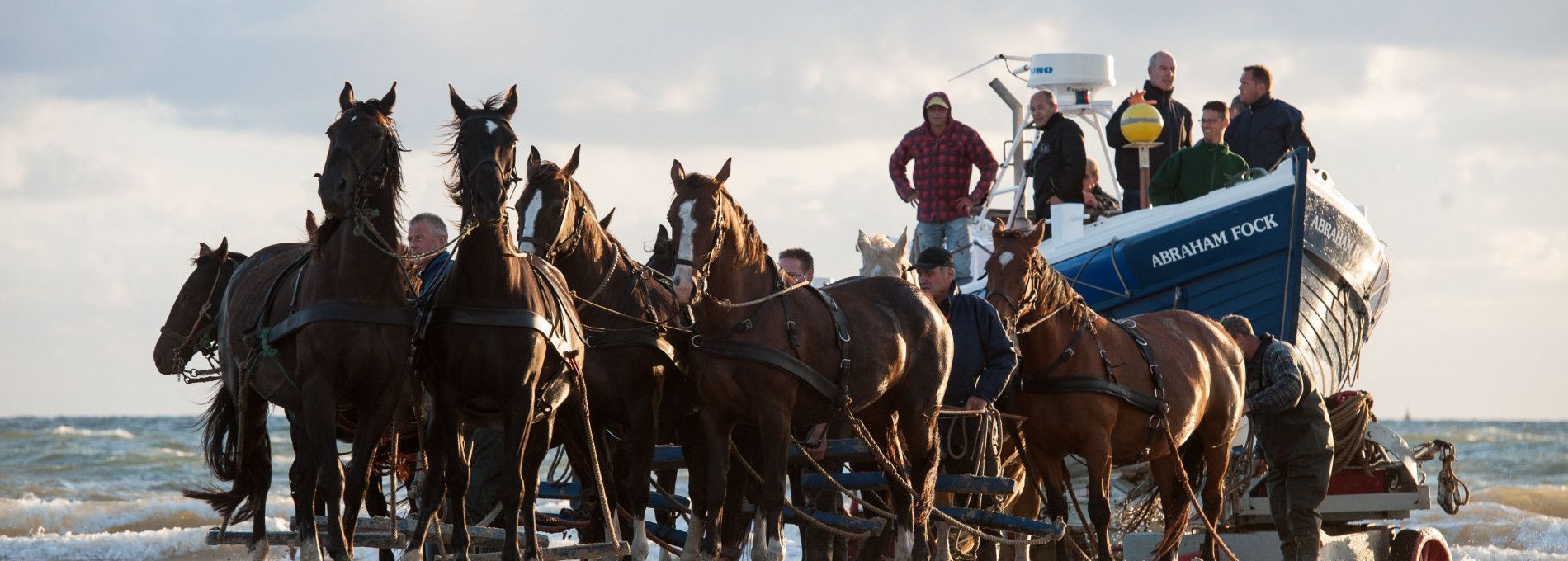 Demonstratie paardenreddingboot - VVV Ameland