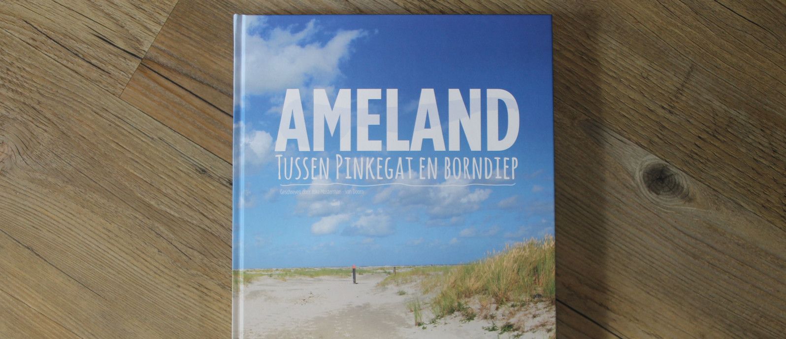 Tussen Pinkegat en Borndiep - webshop VVV Ameland
