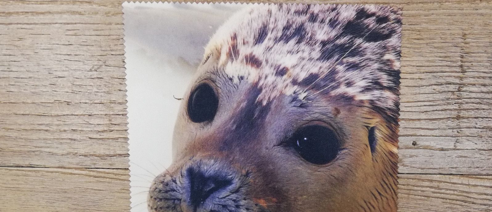 Brillendoekje - webshop VVV Ameland